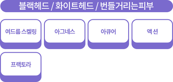 jin4_4_img1